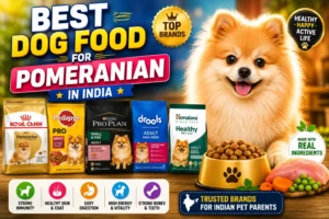Top 5 Best Dog Foods for Pomeranians in India