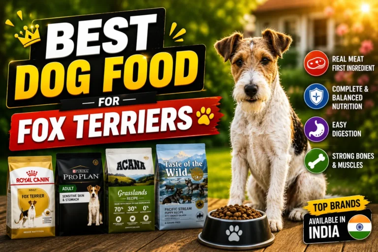 Best Dog Food for Fox Terriers in 2026 Best Dog Food for Fox Terriers