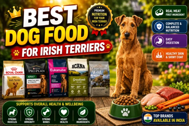 Best Dog Food for Irish Terriers in India (2026) Best Dog Food for Irish Terriers