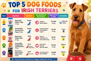 Best Dog Food for Irish Terriers in India