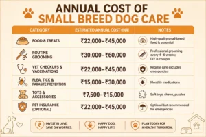Cost of Owning a Shih Tzu