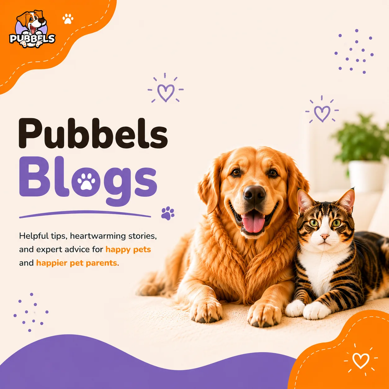 Pubbels Blog